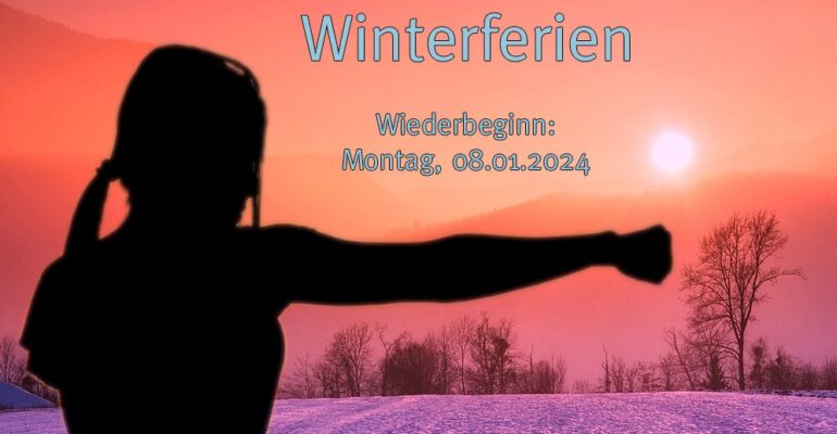 Schatten einer Frau mit ausgestreckter Faust vor Sonnenuntergang über Schnee.